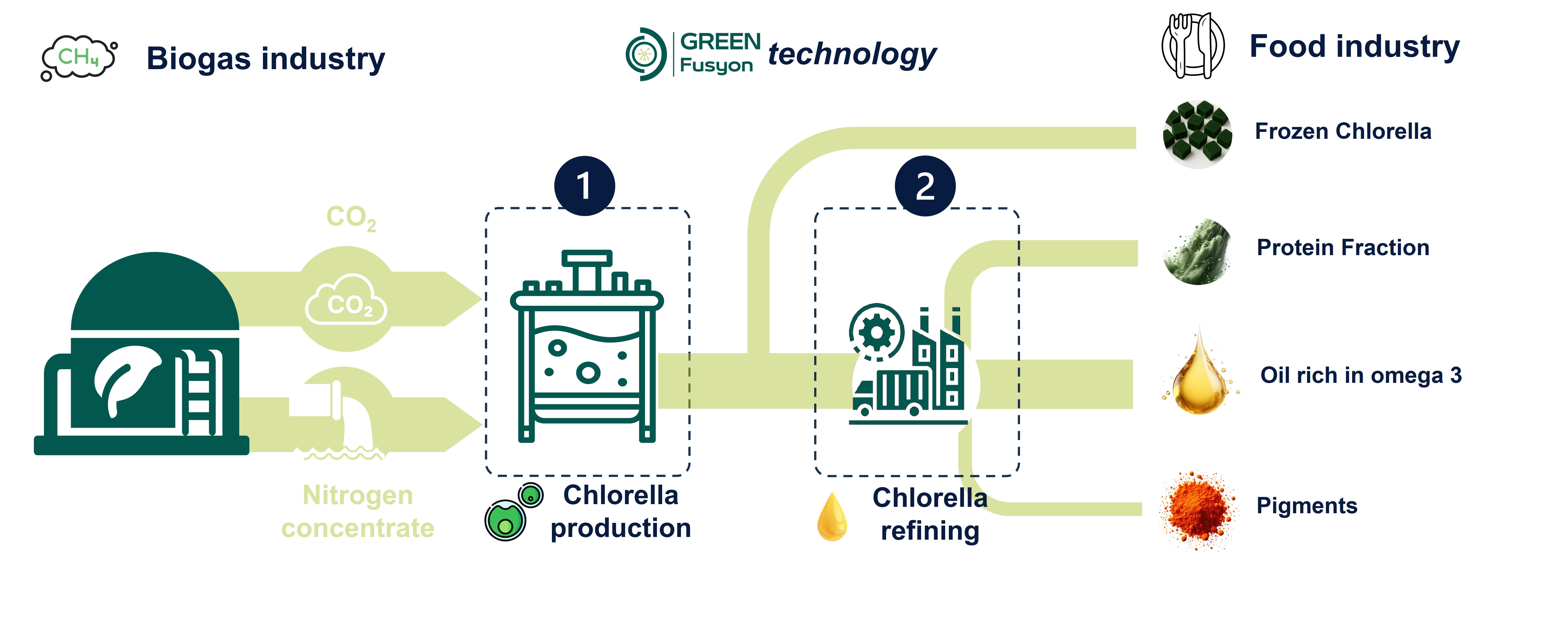 Schéma du procédé Green Fusyon : valorisation du CO₂ et de l’eau azotée de méthanisation pour produire de la chlorelle et des extraits